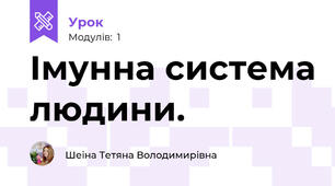 Імунна система людини.