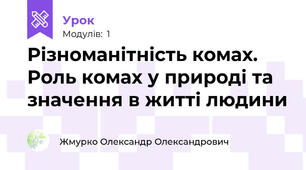Різноманітність комах. Роль комах у природі та значення в житті людини
