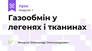 Газообмін у легенях і тканинах