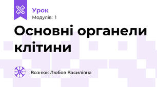 Основні органели клітини 