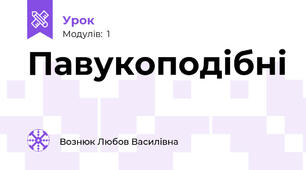 Павукоподібні 