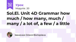 Sol.El. Unit 4D Grammar how much / how many, much / many / a lot of, a few / a little