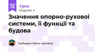 Значення опорно-рухової системи, її функції та будова