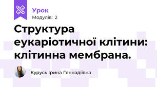Структура еукаріотичної клітини: клітинна мембрана.