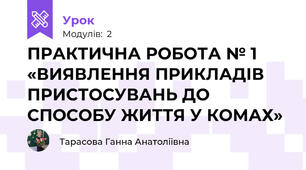 ПРАКТИЧНА РОБОТА № 1  «ВИЯВЛЕННЯ ПРИКЛАДІВ ПРИСТОСУВАНЬ ДО СПОСОБУ ЖИТТЯ У КОМАХ»