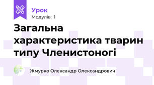 Загальна характеристика тварин типу Членистоногі