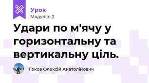 Удари по м'ячу у горизонтальну та вертикальну ціль.