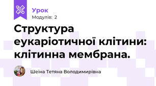 Структура еукаріотичної клітини: клітинна мембрана.