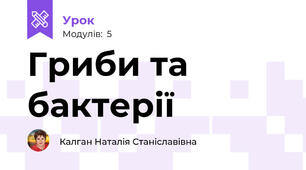 Гриби та бактерії