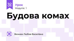 Будова комах 
