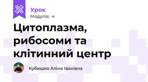 Цитоплазма, рибосоми та клітинний центр