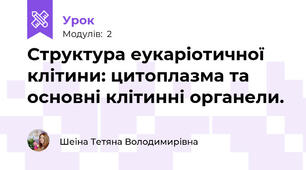 Структура еукаріотичної клітини: цитоплазма та основні клітинні органели.