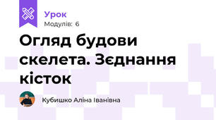 Огляд будови скелета. Зєднання кісток