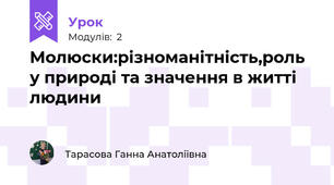 Молюски:різноманітність,роль у природі та значення в житті людини