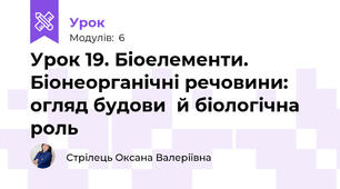 Урок 19. Біоелементи. Біонеорганічні речовини: огляд будови  й біологічна роль