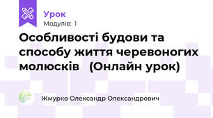 Особливості будови та способу життя черевоногих молюсків   (Онлайн урок)