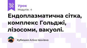 Ендоплазматична сітка, комплекс Гольджі, лізосоми, вакуолі.