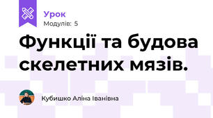 Функції та будова скелетних мязів.