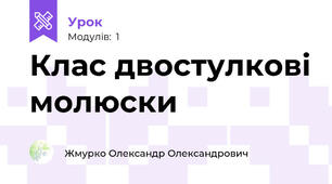 Клас двостулкові молюски