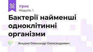 Бактерії найменші одноклітинні організми