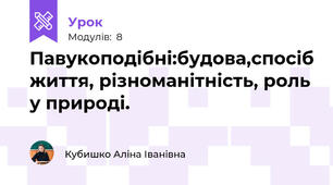 Павукоподібні:будова,спосіб життя, різноманітність, роль у природі.