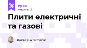 Плити електричні та газові