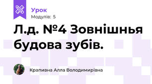  Л.д. №4 Зовнішнья будова зубів.