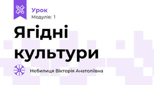 Ягідні культури