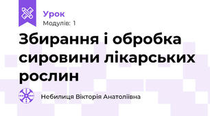 Збирання і обробка сировини лікарських рослин