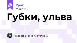 Губки, ульва