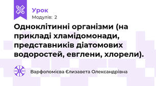 Одноклітинні організми (на прикладі хламідомонади, представників діатомових водоростей, евглени, хлорели).