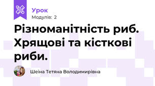 Різноманітність риб. Хрящові та кісткові риби.