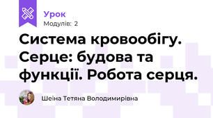 Система кровообігу. Серце: будова та функції. Робота серця.