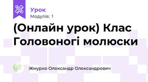 (Онлайн урок) Клас Головоногі молюски