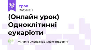 (Онлайн урок) Одноклітинні еукаріоти