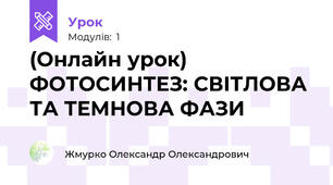(Онлайн урок) ФОТОСИНТЕЗ: СВІТЛОВА ТА ТЕМНОВА ФАЗИ