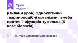 (Онлайн урок) Одноклітинні твариноподібні організми : амеба протея, інфузорія-туфелька.(6 клас біологія)