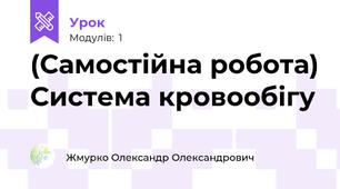 (Самостійна робота) Система кровообігу