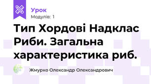 Тип Хордові Надклас Риби. Загальна характеристика риб.