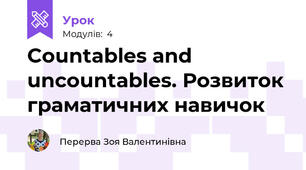 Countables аnd uncountables. Розвиток граматичних навичок