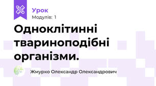 Одноклітинні твариноподібні організми. 