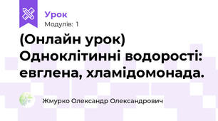 (Онлайн урок) Одноклітинні водорості: евглена, хламідомонада.