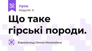 Що таке гірські породи.