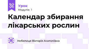Календар збирання лікарських рослин
