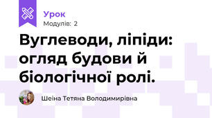 Вуглеводи, ліпіди: огляд будови й біологічної ролі.