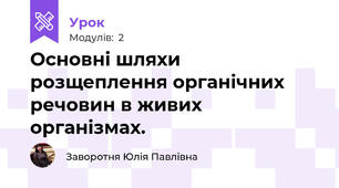 Основні шляхи розщеплення органічних речовин в живих організмах.