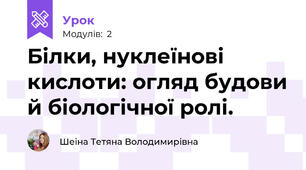 Білки, нуклеїнові кислоти: огляд будови й біологічної ролі.