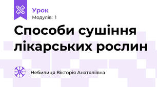 Способи сушіння лікарських рослин