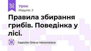 Правила збирання грибів. Поведінка у лісі.