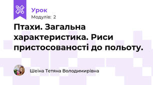 Птахи. Загальна характеристика. Риси пристосованості до польоту.